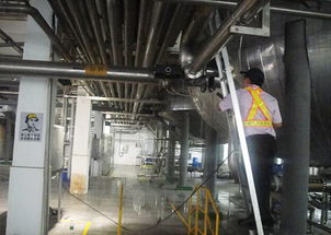 迪奈美 成功解決食品行業(yè)啤酒廠鍋爐管道結垢腐蝕異味問題