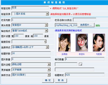 圖片和自定義js的問題 領(lǐng)先建站cms提供服務(wù)商 我們專注于cms建站產(chǎn)品的研發(fā)